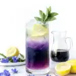 Butterfly Pea Flower Tea Lemonade Recipe
