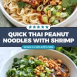 Thai Peanut Noodles Recipe