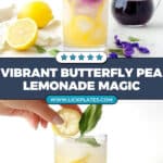 Butterfly Pea Flower Tea Lemonade Recipe