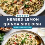 Herbed Lemon Quinoa Recipe