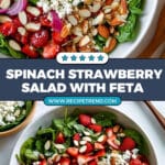 Spinach Strawberry Salad with Poppy Seed Dressing Recipe