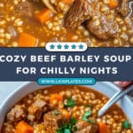 Hearty Beef Barley Soup Recipe