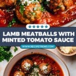 Easy Lamb Meatballs Recipe