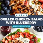 Grilled Chicken Salad with Blueberry Balsamic Vinaigrette Recipe