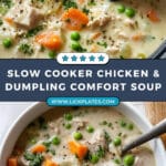 Slow Cooker Chicken and Dumpling Soup Recipe