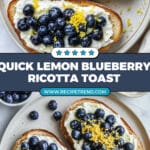 Lemon Blueberry Ricotta Toast With Honey Recipe