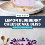 No Bake Lemon Blueberry Cheesecake Recipe